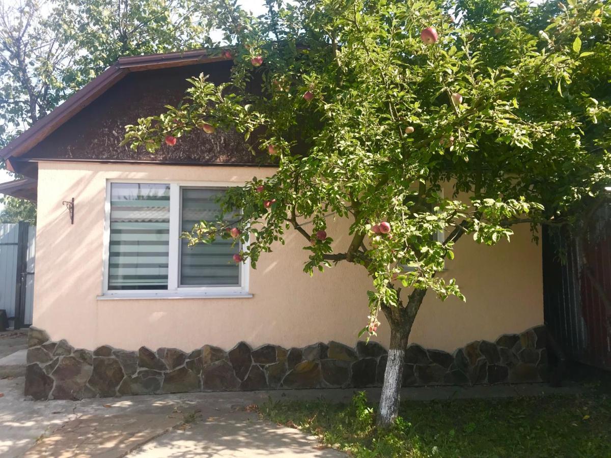 Apartments With Kitchen And Garden Kiew Exterior foto